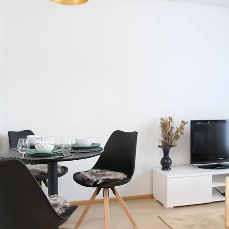 Arctic Willamo Studio- 公寓 罗瓦涅米