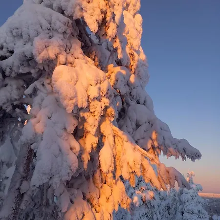 Arctic Willamo Studio- Апартаменты