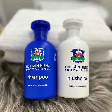 Arctic Willamo Studio- * Рованиеми