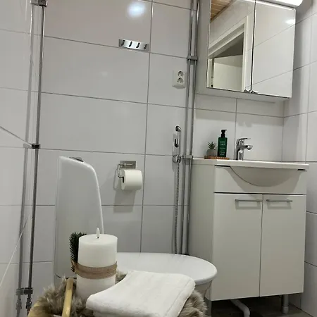 Апартаменты Arctic Willamo Studio-