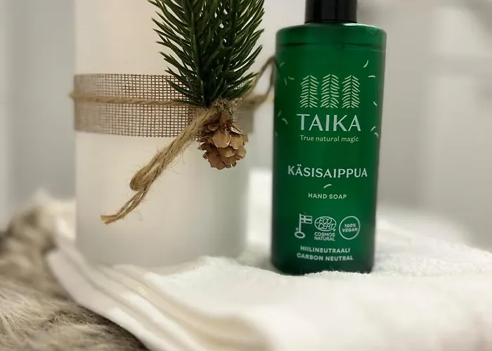 Arctic Willamo Studio-