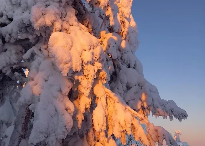 Arctic Willamo Studio- 公寓