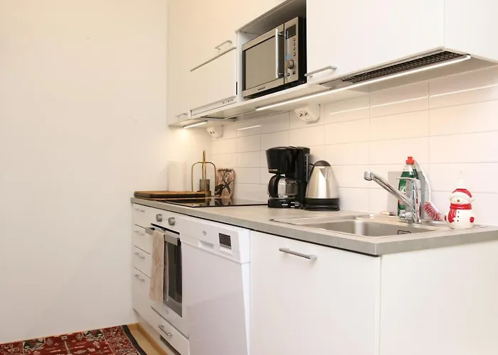 Arctic Willamo Studio- 公寓