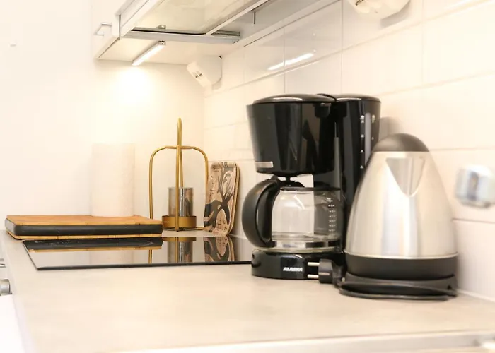 Arctic Willamo Studio-