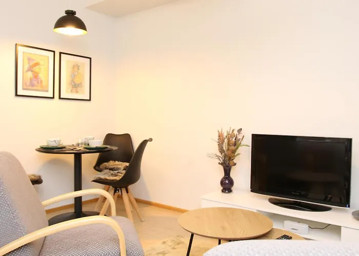 Arctic Willamo Studio-