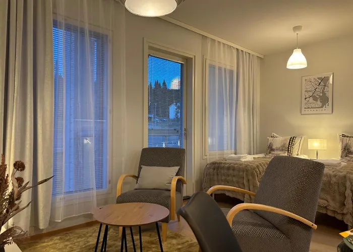 Arctic Willamo Studio- 公寓