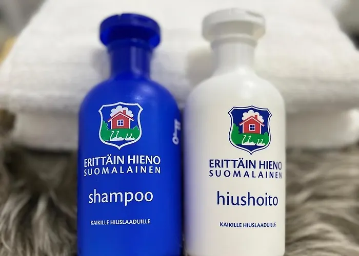 Arctic Willamo Studio- * 罗瓦涅米