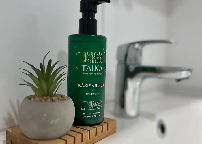 Arctic Willamo Studio- 罗瓦涅米