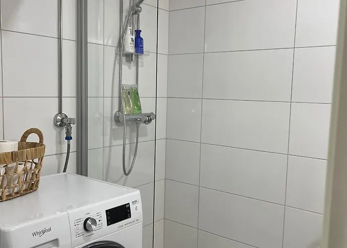 Arctic Willamo Studio- *