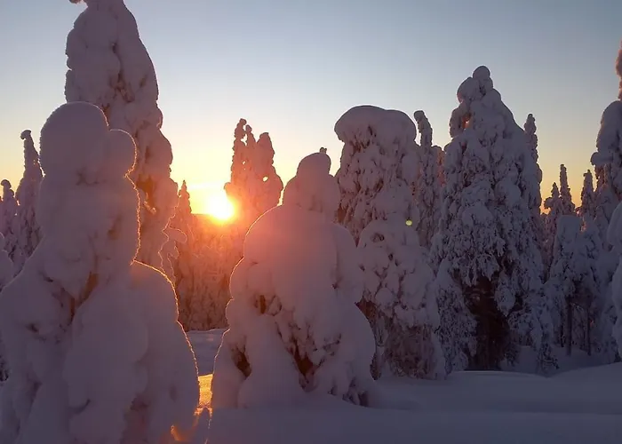 Arctic Willamo Studio-