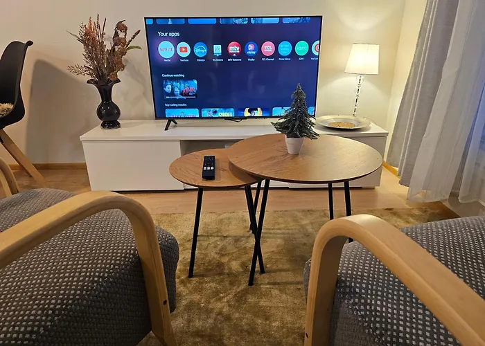 公寓 Arctic Willamo Studio- 罗瓦涅米